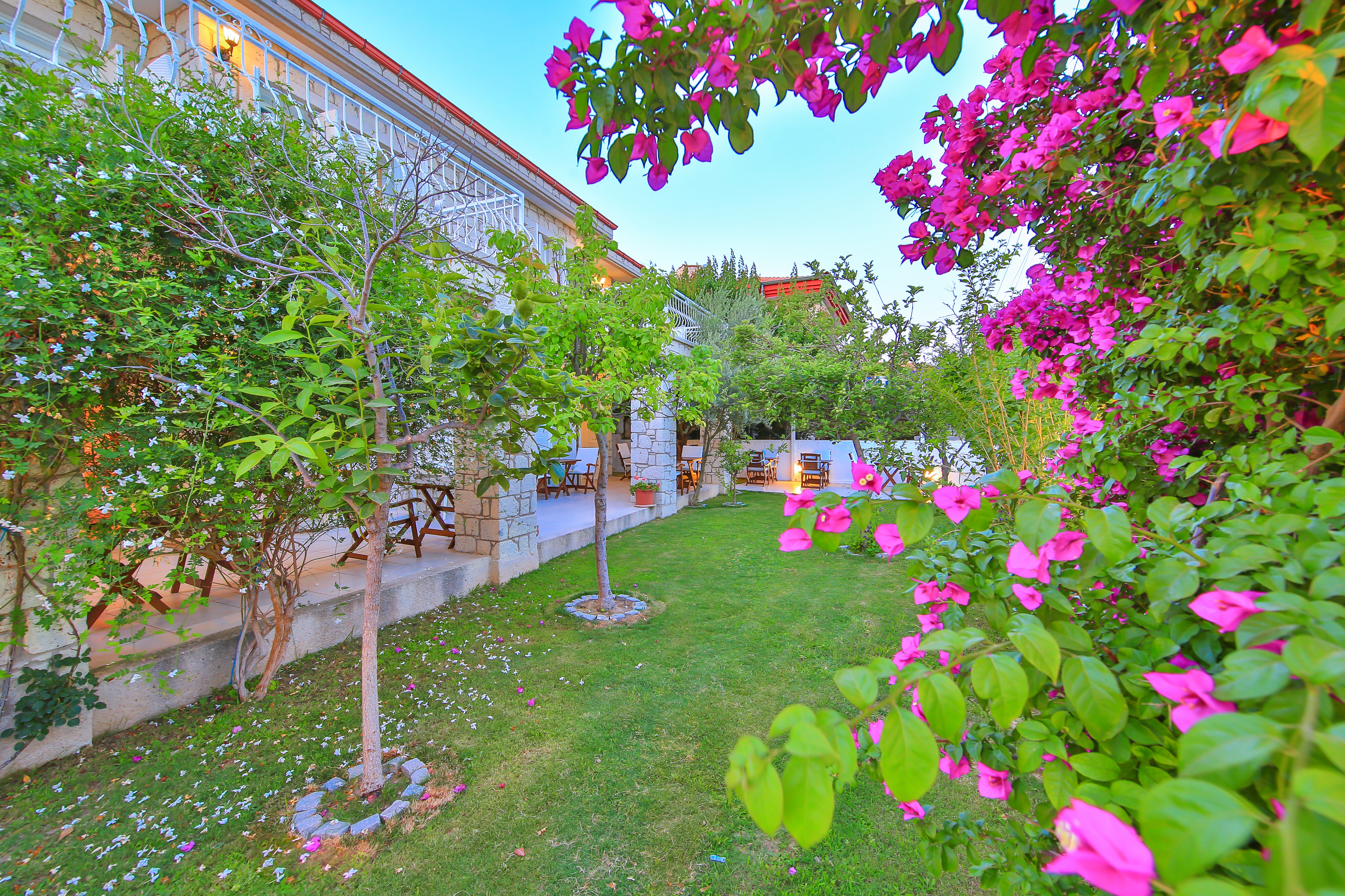 Alaçatı Sörf Otel’in taş cephesi, yeşil bahçesi ve pembe begonvilleri